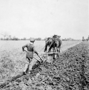barnardo-boy-ploughing-1900.jpg?w=296&h=