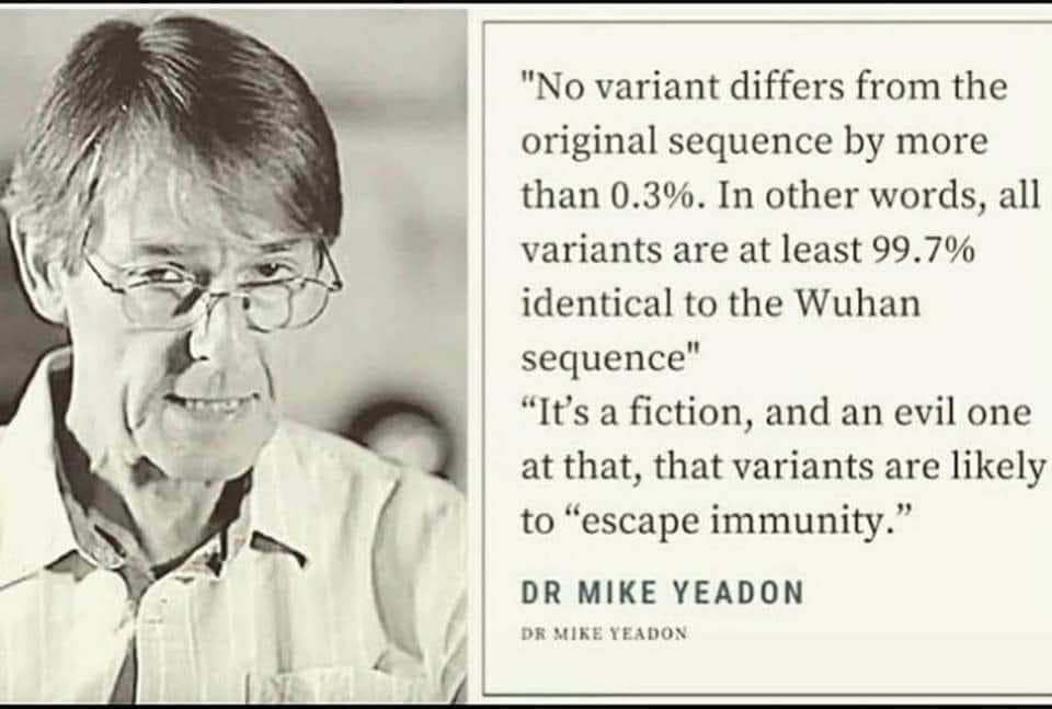 Dr. Yeadon on variants